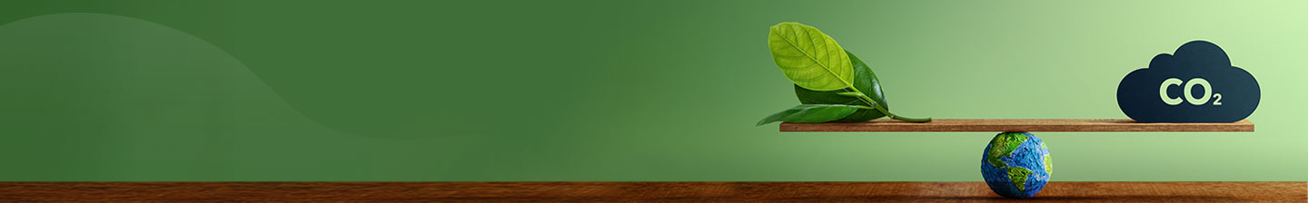 Carbon Footprint Calculator