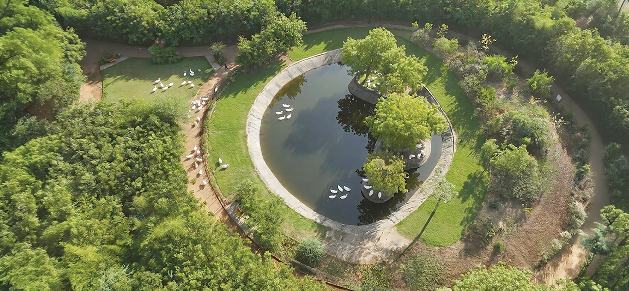 Water body at Greenmosphere Park, Gota, Ahmedabad
